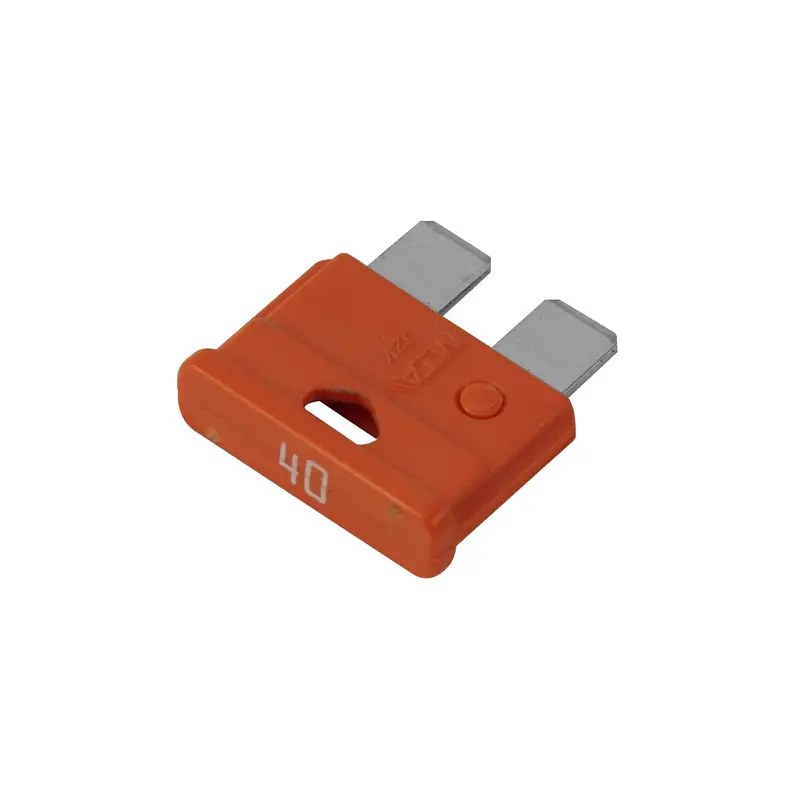 40A Fuse for Ghibli Vacuum Cleaners