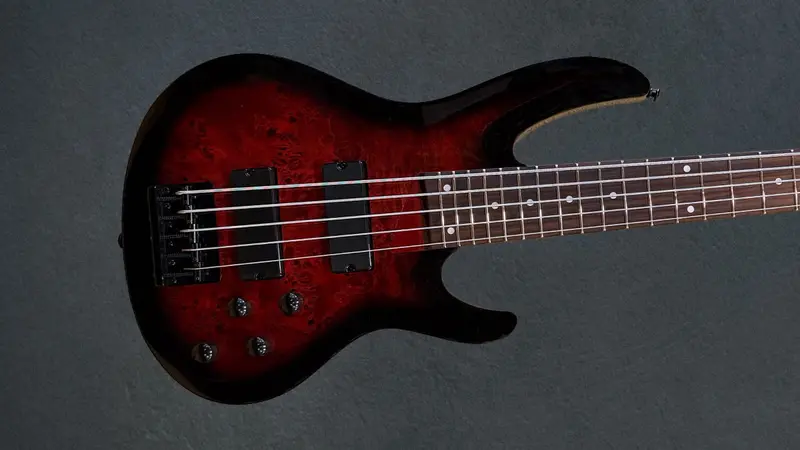 B-205DX 5-String Electric Bass Guitar – Red Burst Finish