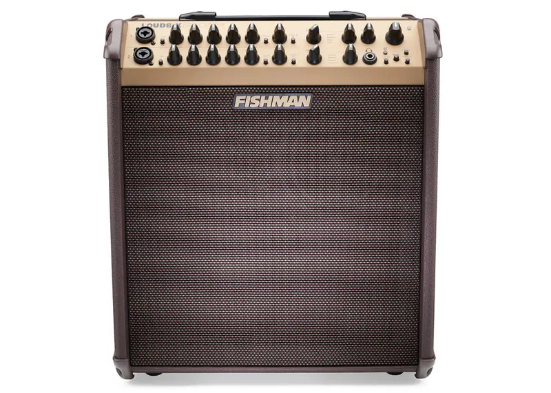 Bossa Nova Loudbox Performer Acoustic Amplifier
