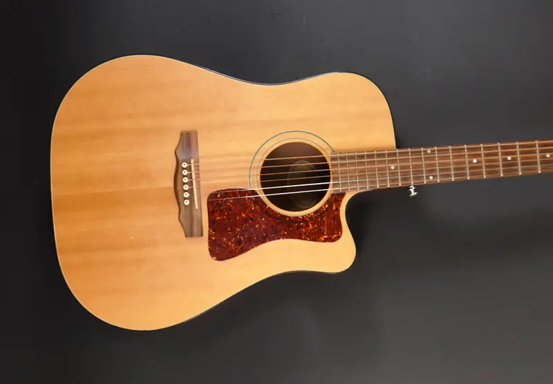 DC1HG True American Hollow-Body Guitar – Recently Acquired