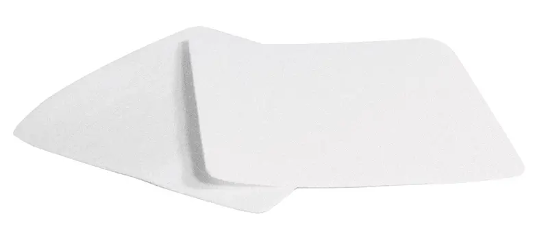 Electrolux/Renaissance Felt Filter Pack – 2 Count