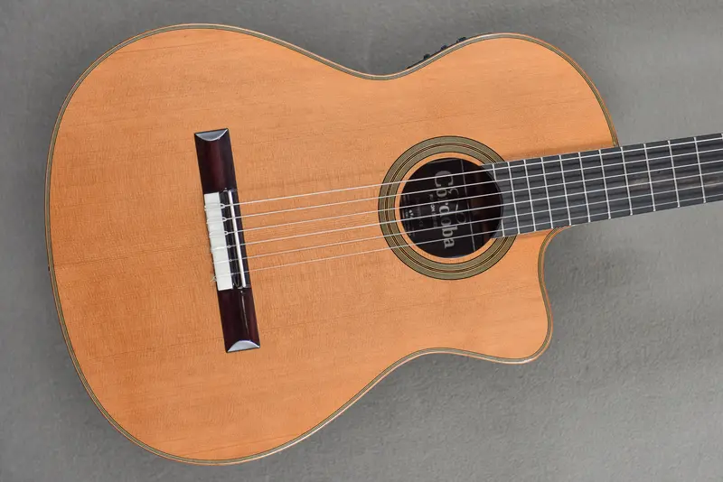 Fusion Series Orchestra CE Cutaway Dreadnought Acoustic-Electric Guitar