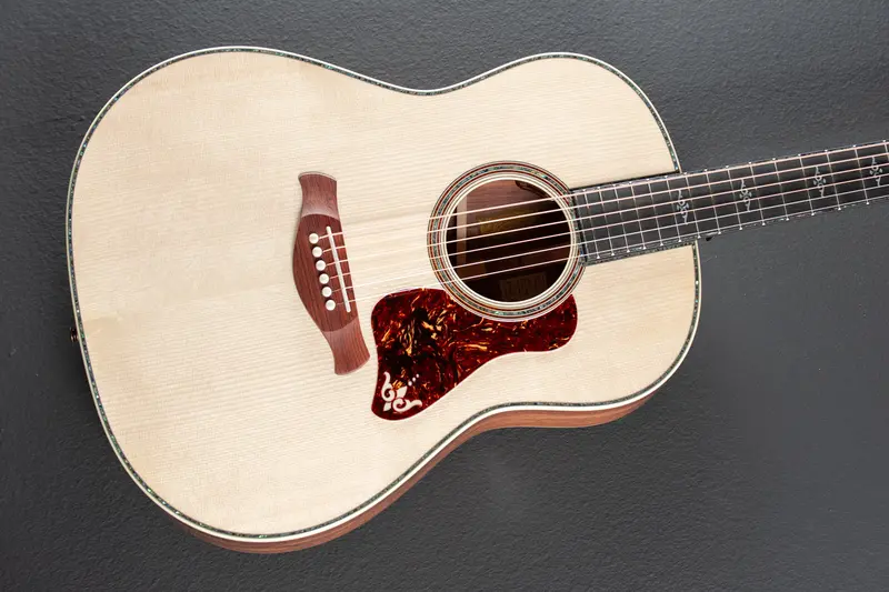 Gold Label 917e Acoustic-Electric Guitar