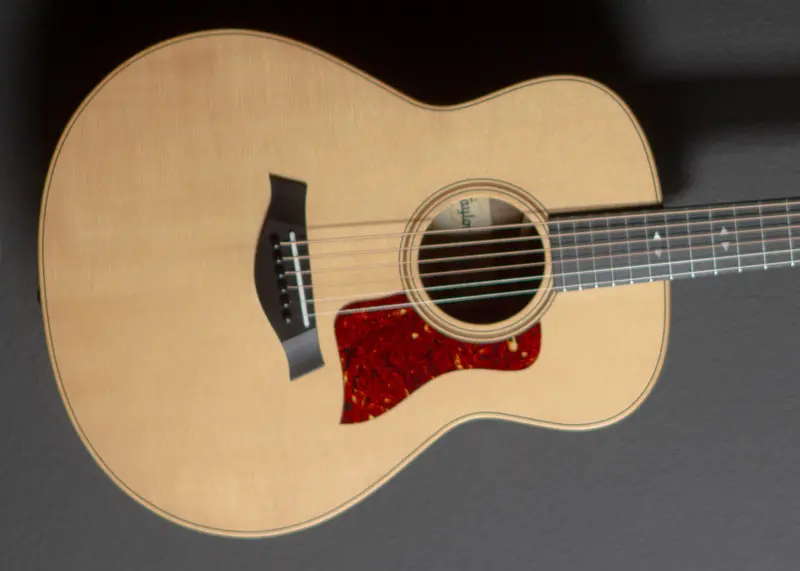 GT Urban Ash Electric Guitar – 2025 Edition
