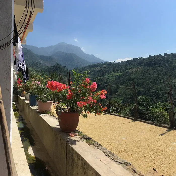 Guatemala Manos de Mujer Women-Produced Coffee