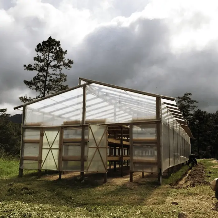 Honduras Marcala SHG Coffee – Cup of Excellence Winner