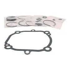 Hustler DD20 Dual-Drive Transaxle Seal Assembly (603362)
