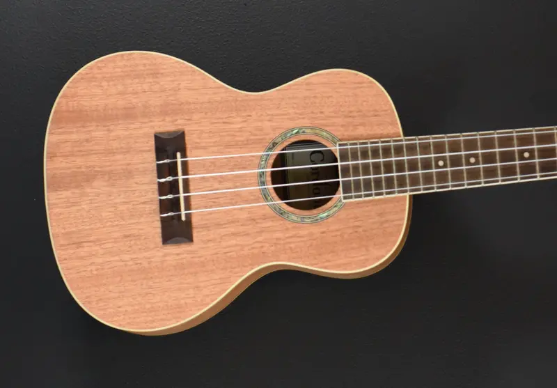 Kala 15CM Concert Ukulele – Recent Batch