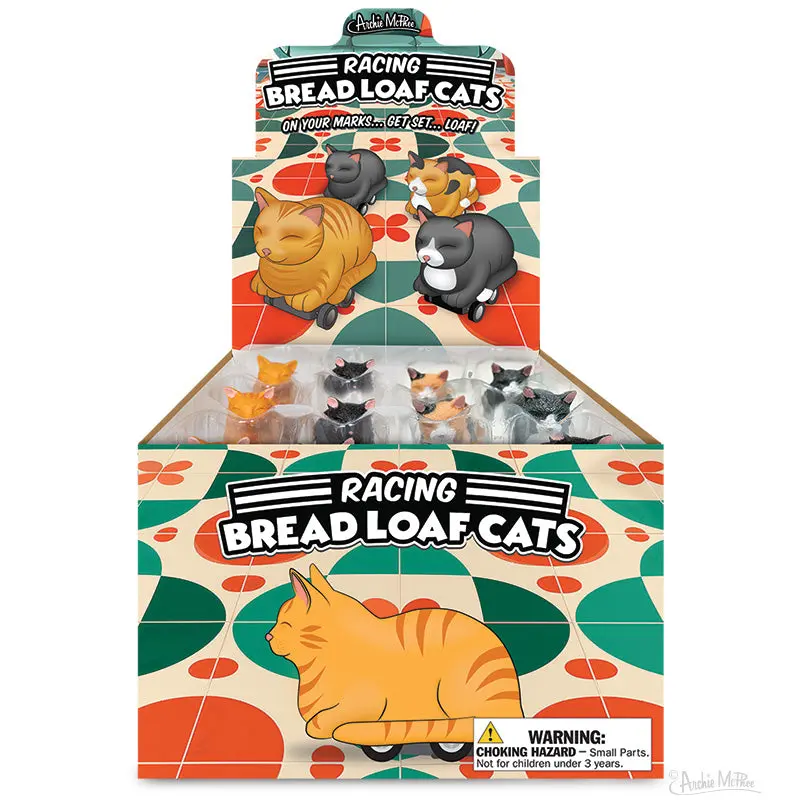 Racing Bread Loaf Cat Collection – Bulk Box