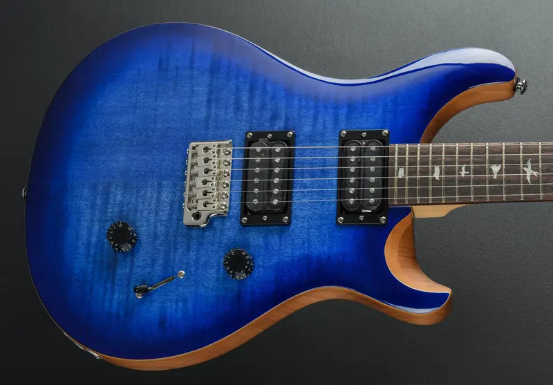 SE Custom 24 Electric Guitar – Latest 2022 Release