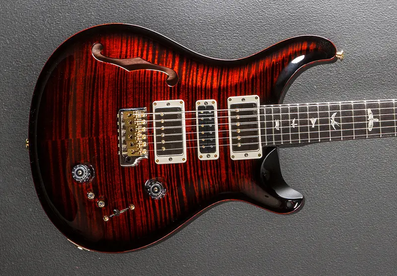 Special Semi-Hollow Electric Guitar – Fire Smokeburst Top Finish