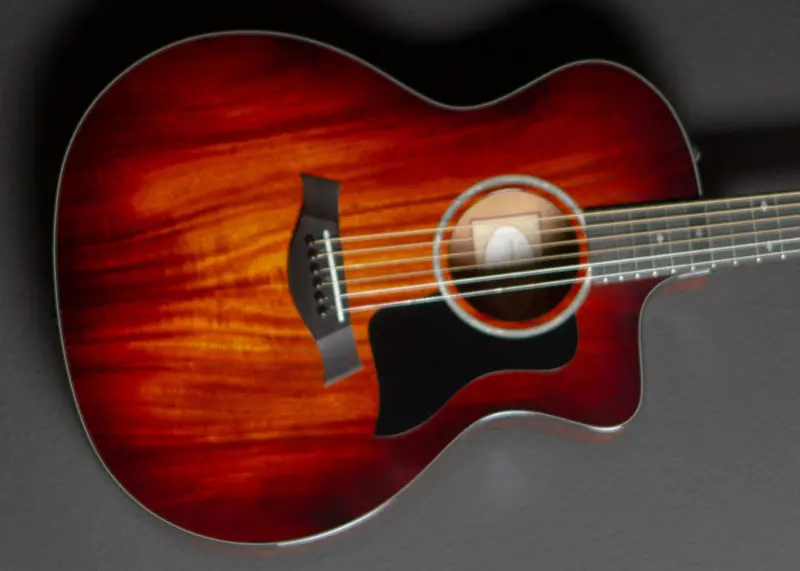 Taylor 224CE-K DLX Grand Auditorium Acoustic-Electric – 2020 Model