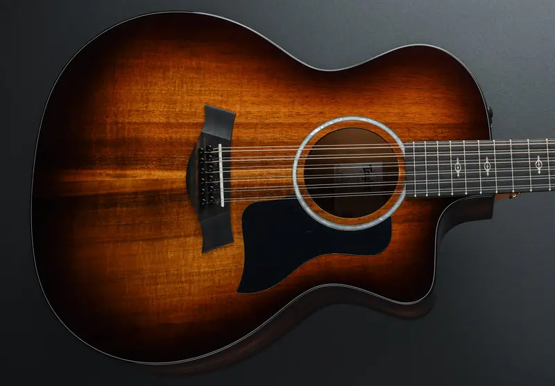 Taylor 264ce-K DLX Twelve-String Electro-Acoustic Guitar