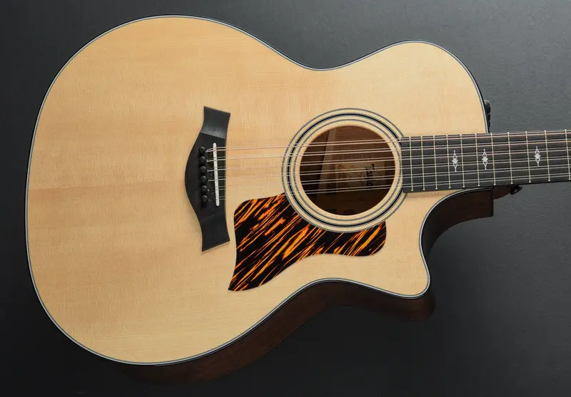 Taylor 354CE 12-String Acoustic – 2025 Updated Build