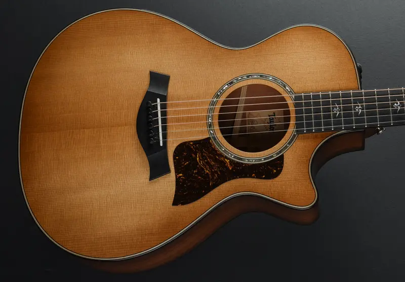 Taylor 512CE Acoustic-Electric Guitar – Urban Ironbark (2022 Model)