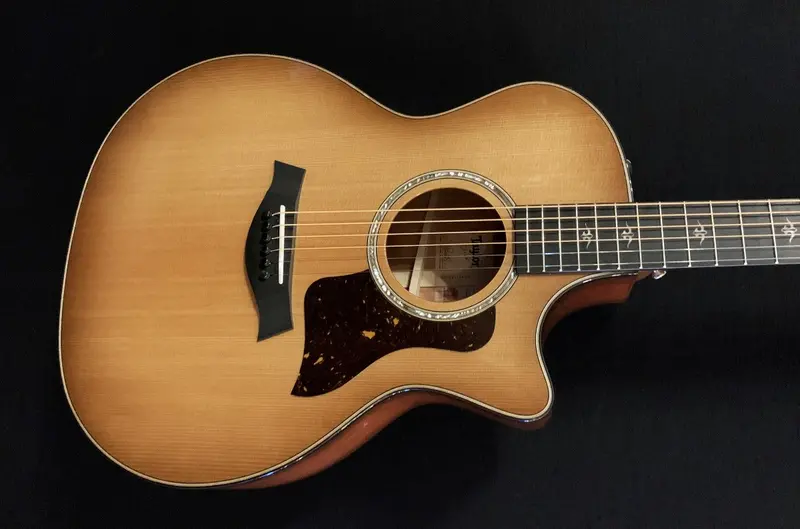 Taylor 514CE Acoustic-Electric Guitar – Urban Ironbark Top