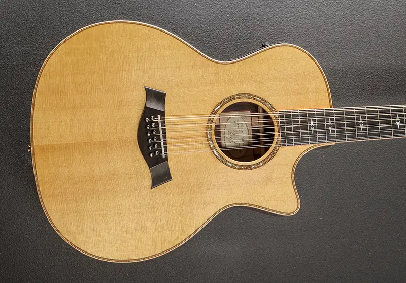 Taylor 854CE Limited-Edition 12-String Acoustic – 2002 Release