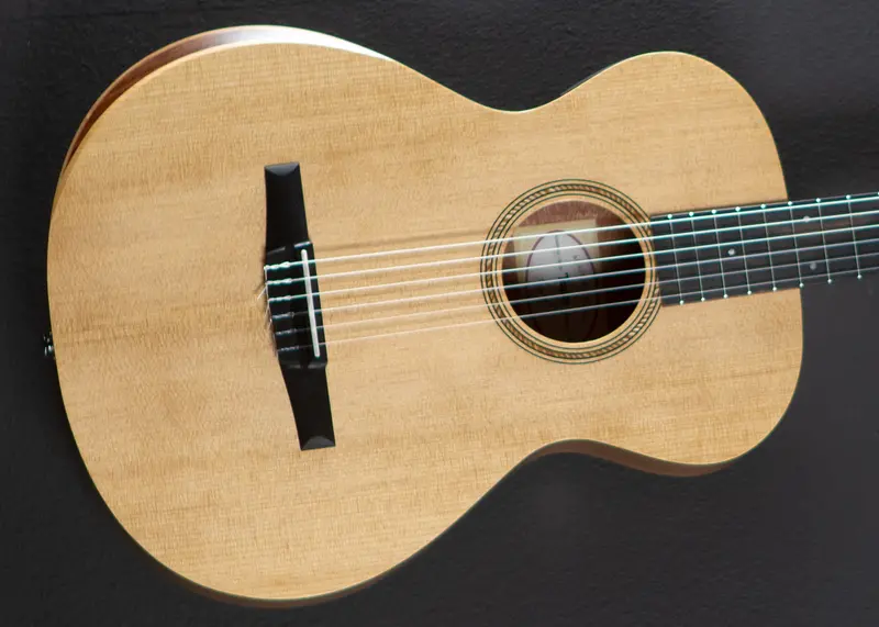 Taylor Academy 12E-N Nylon-String Acoustic – 2026 Release