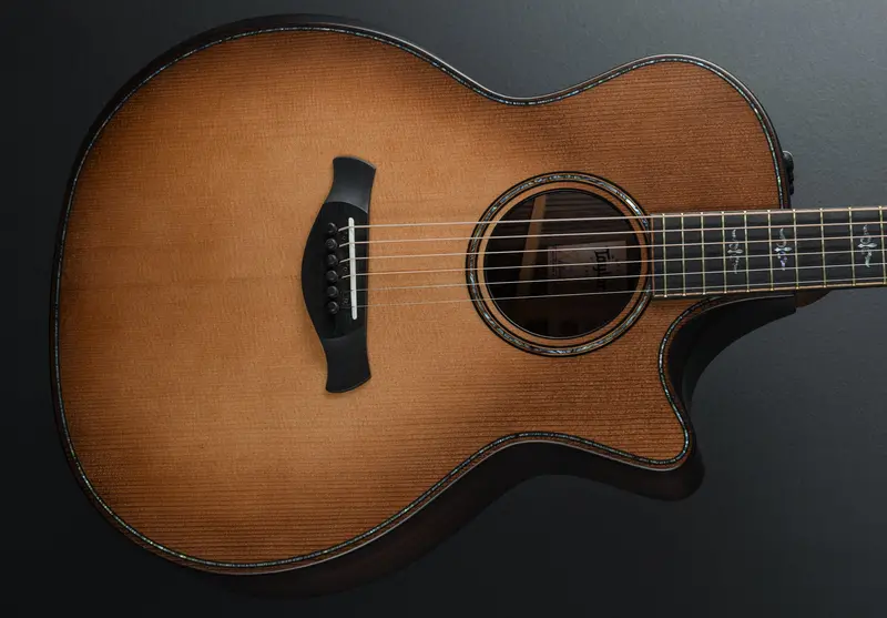 Taylor Builder’s Edition 914CE Acoustic-Electric Guitar in Wild Honey Burst