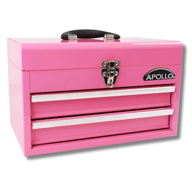 Two-Drawer Pink Steel Tool Chest with Organized Storage – DT5010P